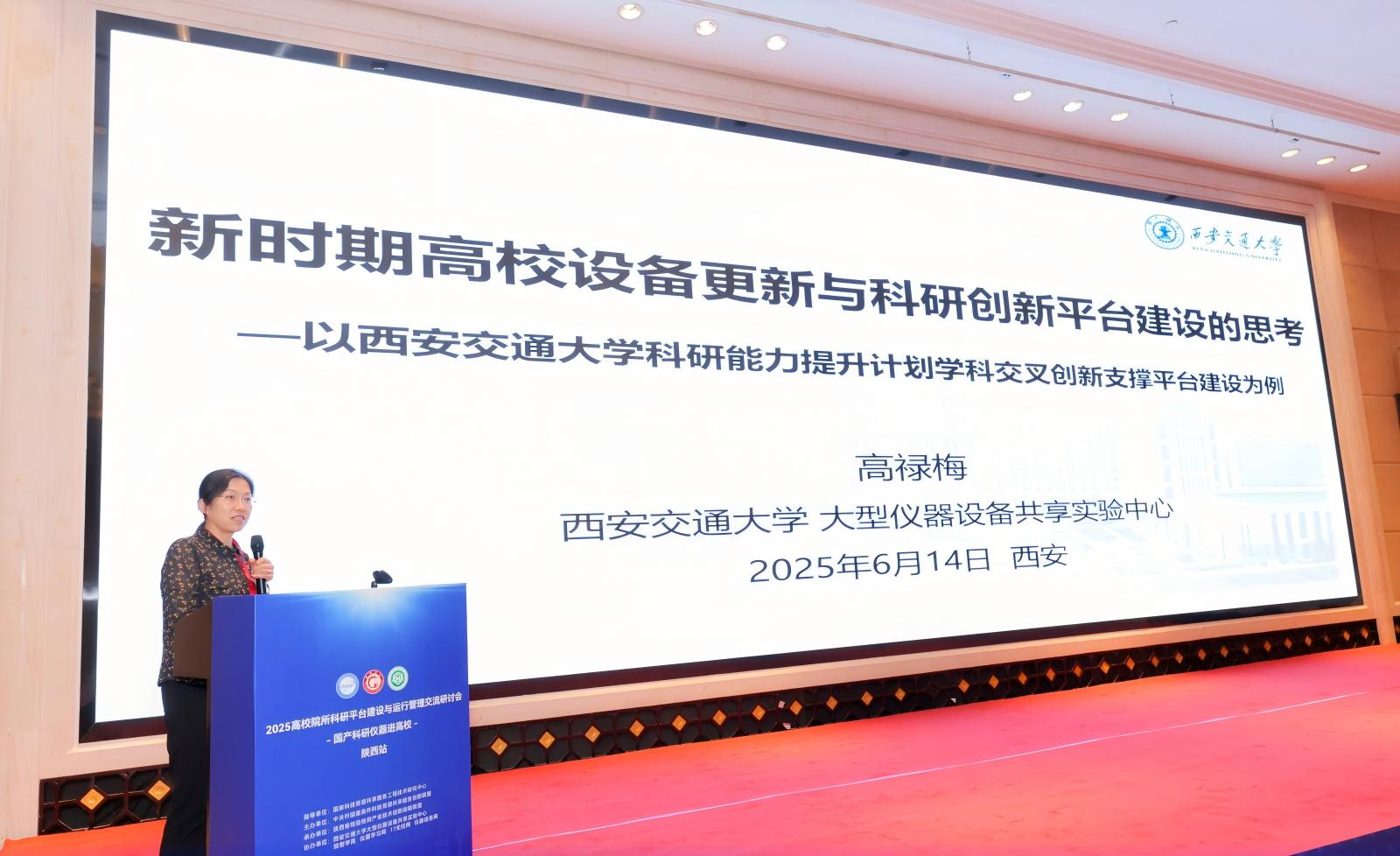 高禄梅(1).jpg